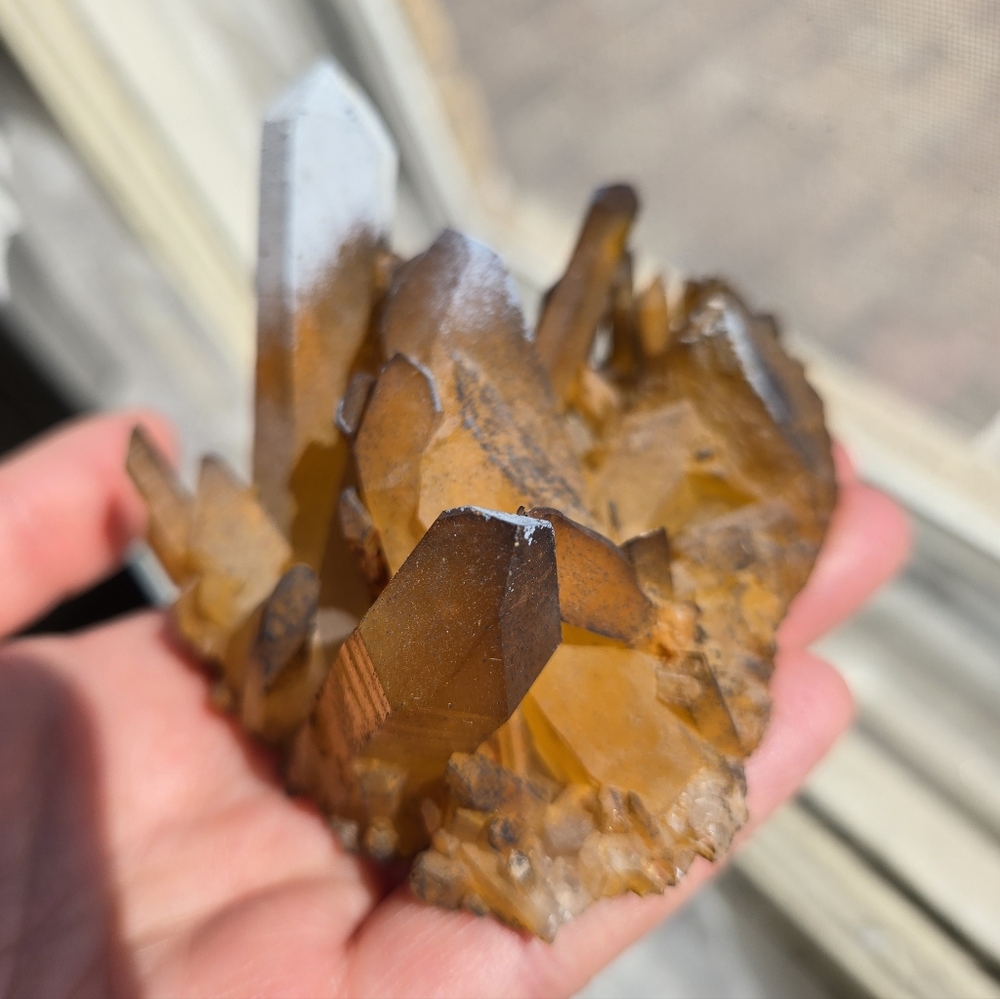 Solaris Quartz Cluster